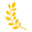 Laurel